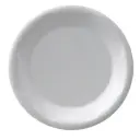 Plate Foam 6"  1.000 unit
