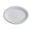 Plate Oval Compostable  8X10 1Cp 500 Unit