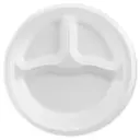 Plate Foam 9" 3 Spaces 20/25
