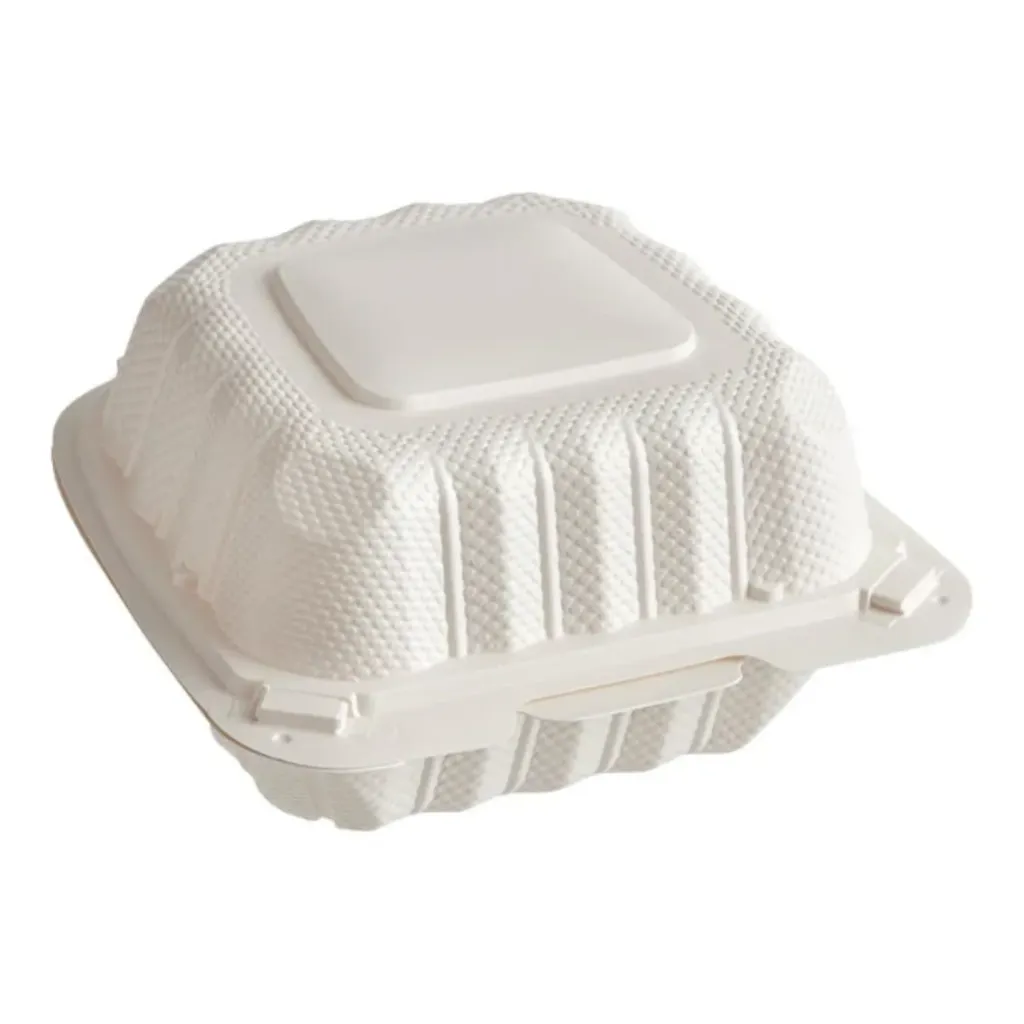 Container 6x6 (300 Pcs) TFPP Plastic Microwavable
