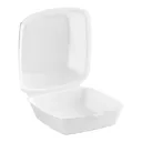 Container Foam 6" Pk 500 Unit Arepa